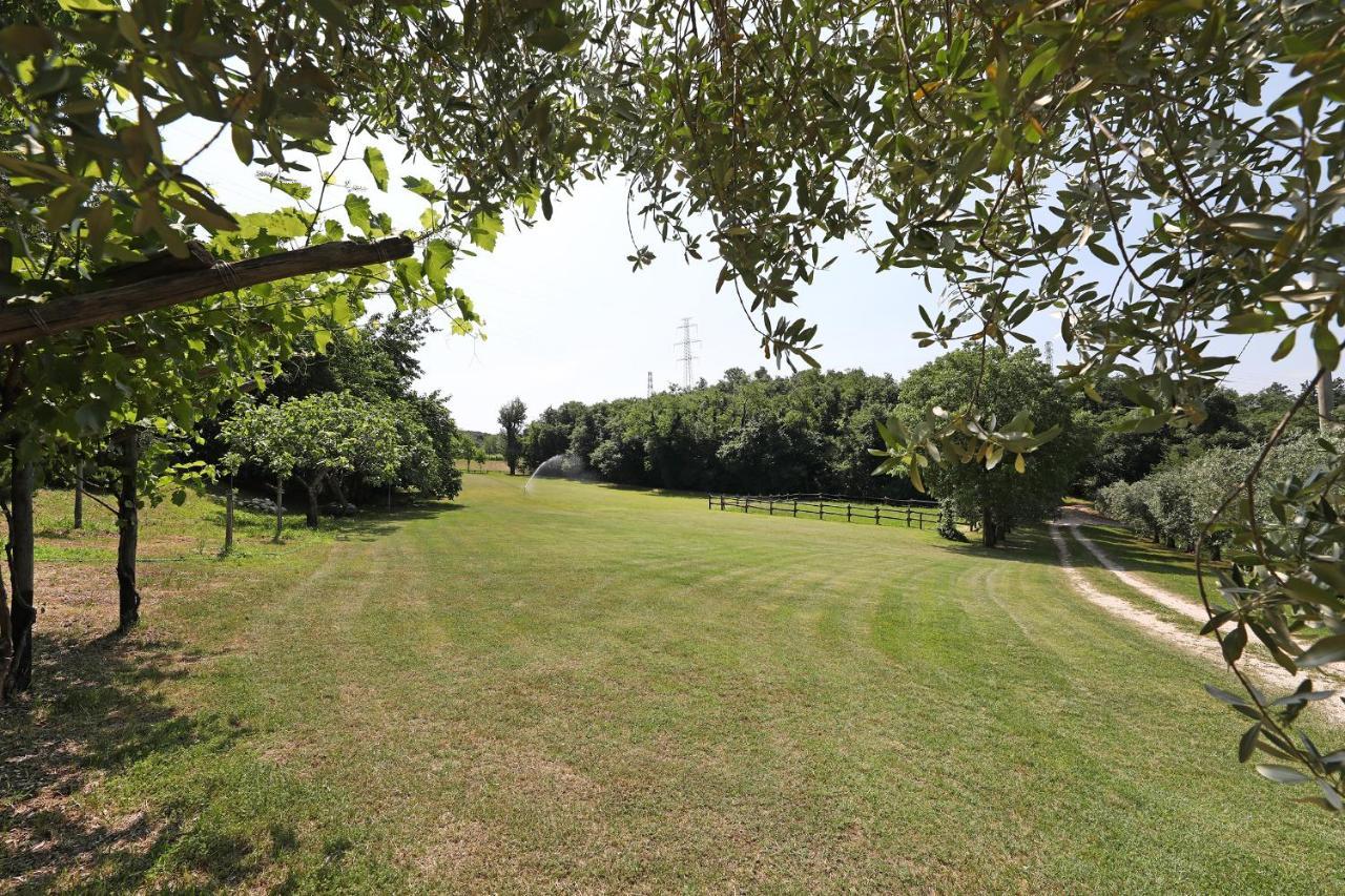 Serene Holiday And Wine Farm Affi Exterior foto