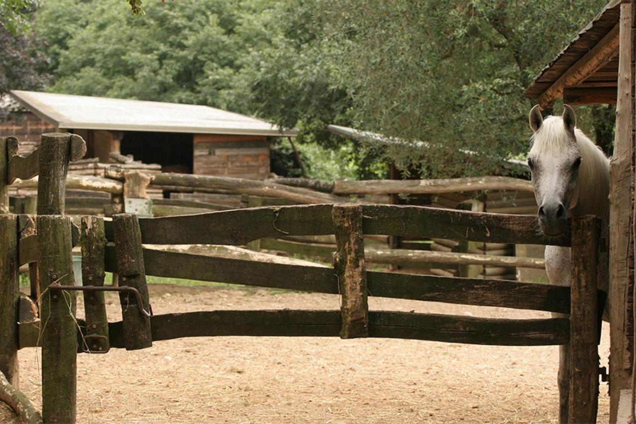 Serene Holiday And Wine Farm Affi Exterior foto