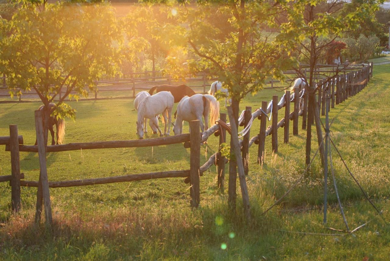 Serene Holiday And Wine Farm Affi Exterior foto